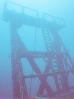 Dive With South Florida Diving Headquarters